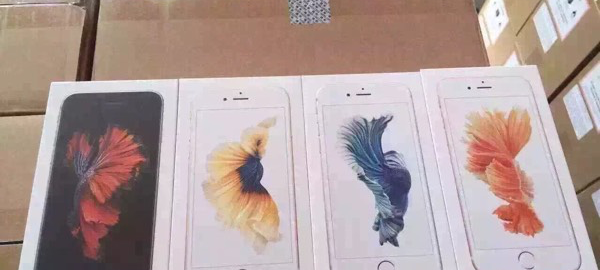 iPhone 6s kutuları ve roze altın rengi görüntülendi